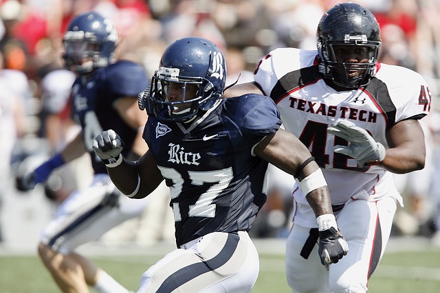 的包装中 的包装中