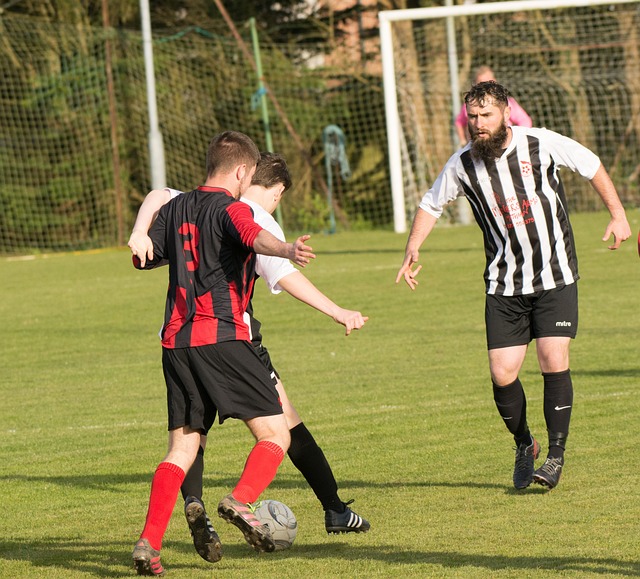 年里约奥运 年里约奥运