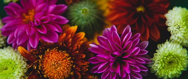 另一方面 另一方面