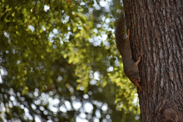 而對比之下 而對比之下