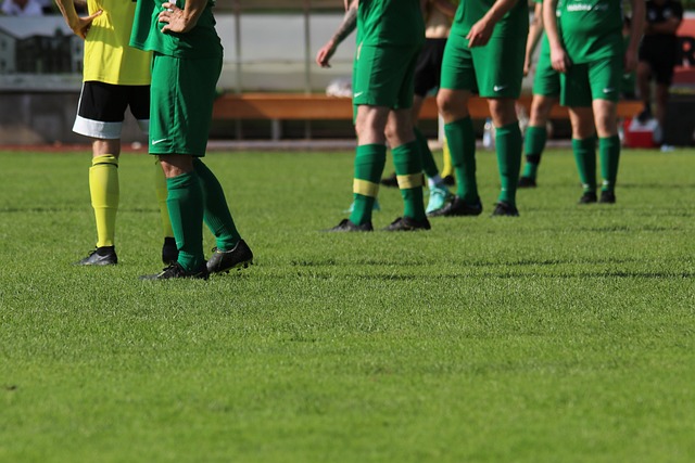 意分外引人 意分外引人